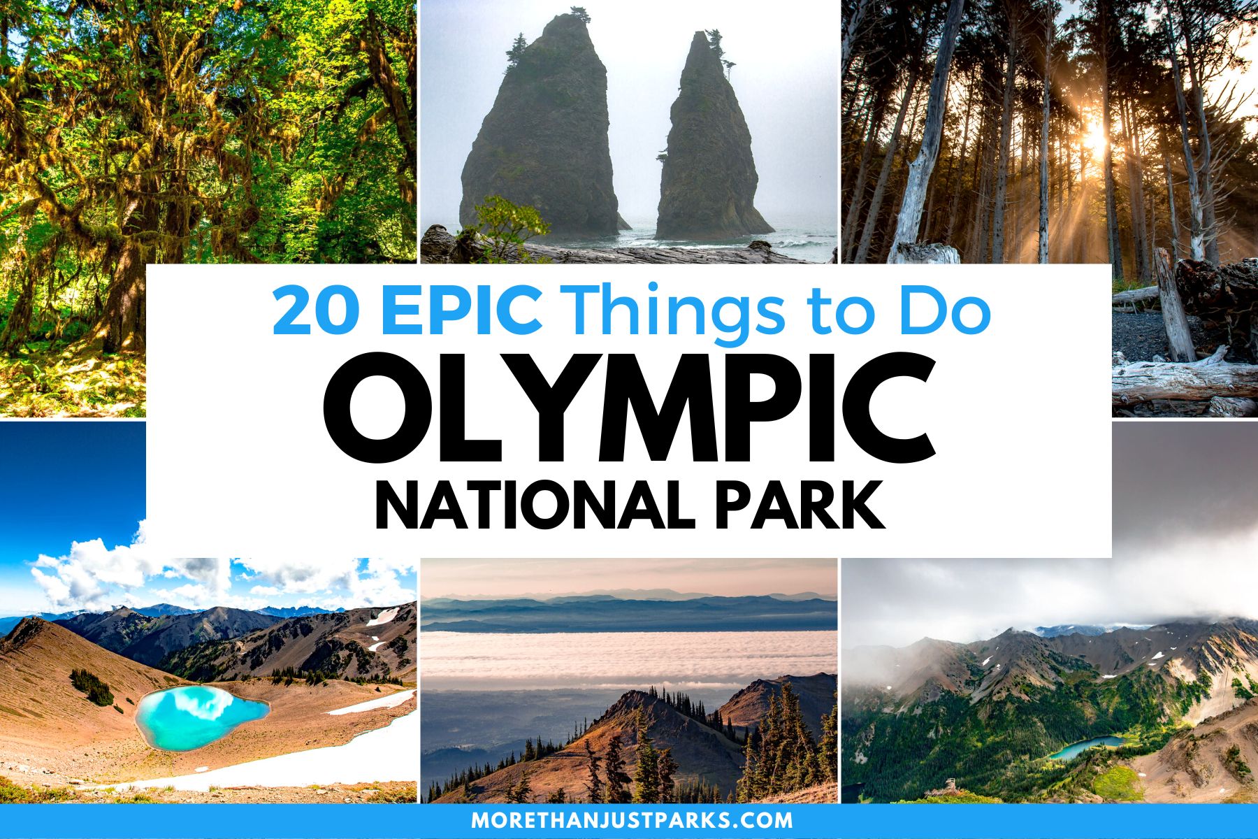 things to do olympic national park, things to do olympic washington