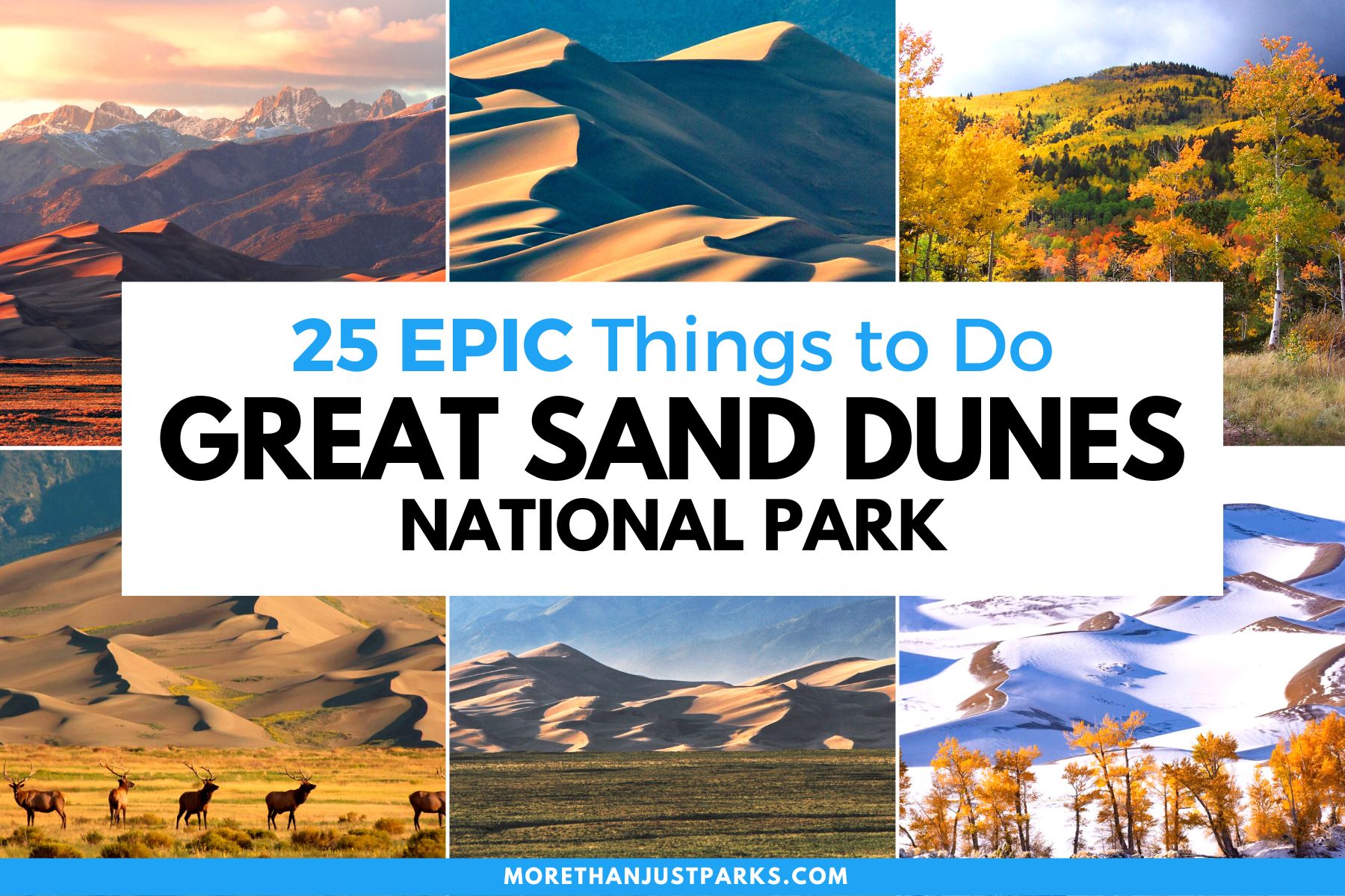 things to do great sand dunes national park, things to do great sand dunes colorado