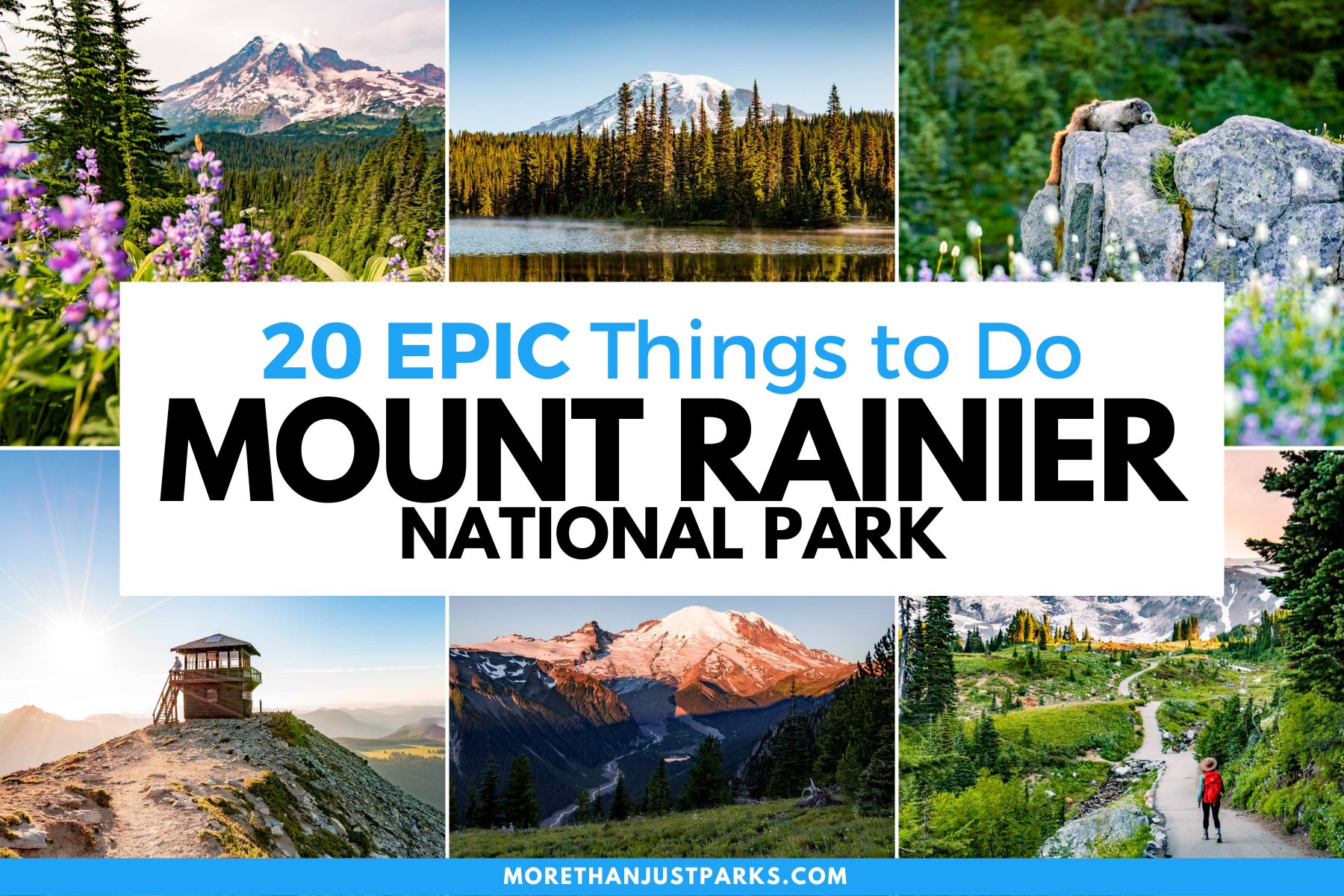 things to do mount rainier national park, things to do mt rainier