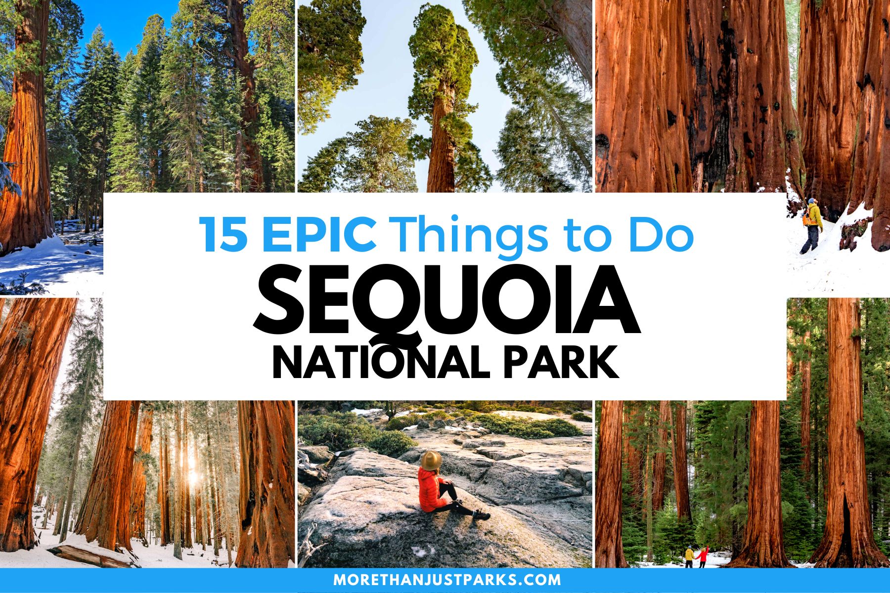 things to do sequoia national park, sequoia national park activities