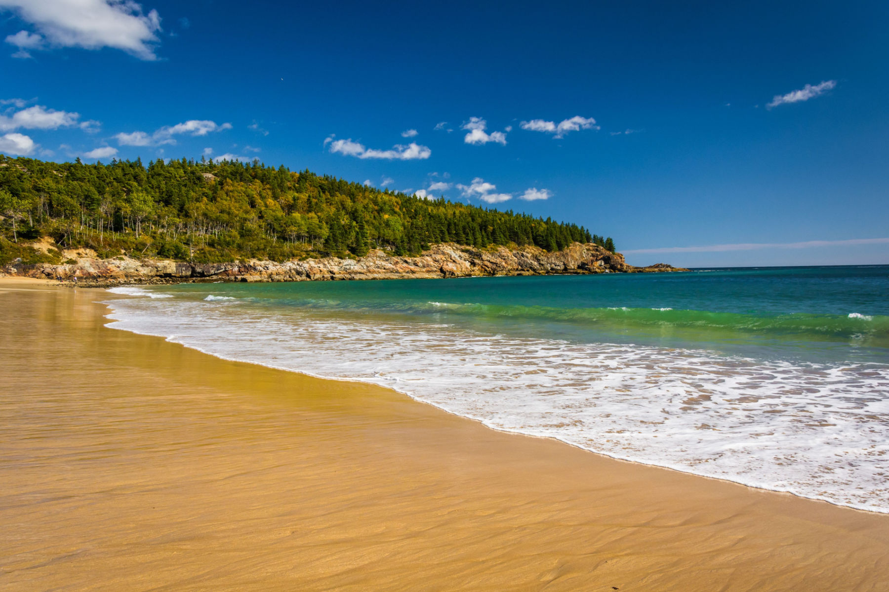 things to do acadia national park