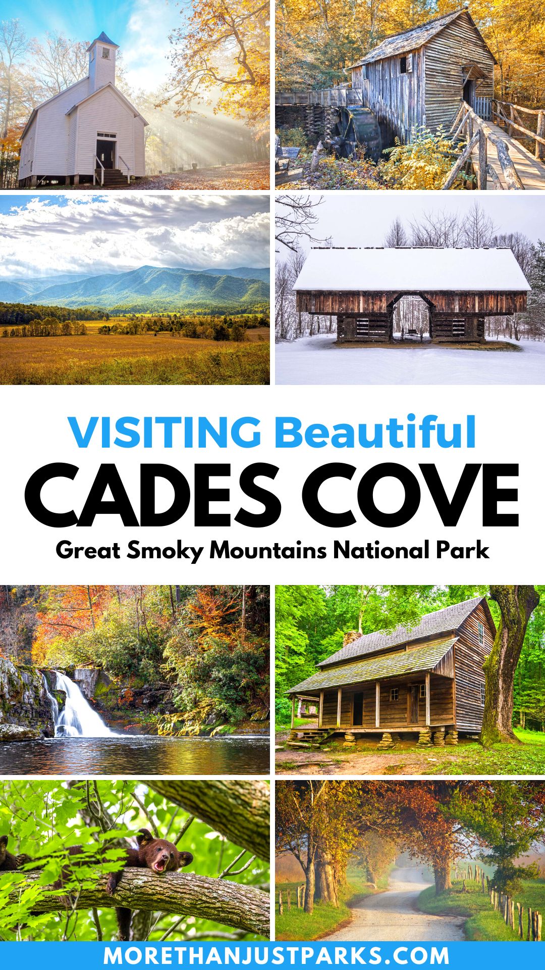 cades cove, great smoky mountains national park, visiting cades cove, thigns to do cades cove