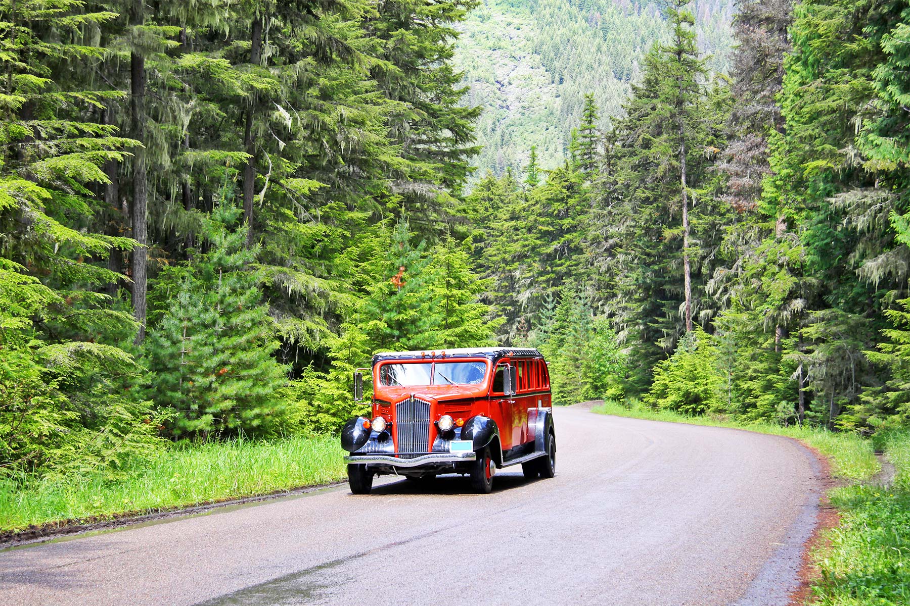 glacier national park red bus tour