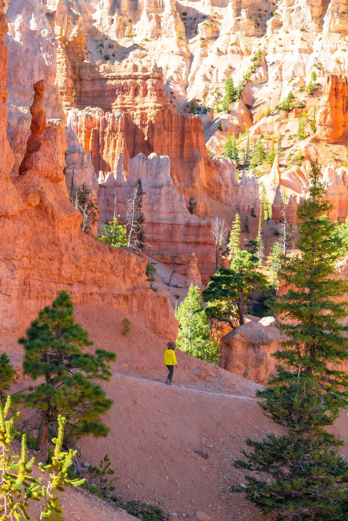 hiking in bryce canyon national park, 