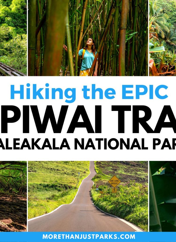 pipiwai trail haleakala national park maui, hiking the pipiwai trail, pipiwai banyan tree, pipiwai bamboo forest