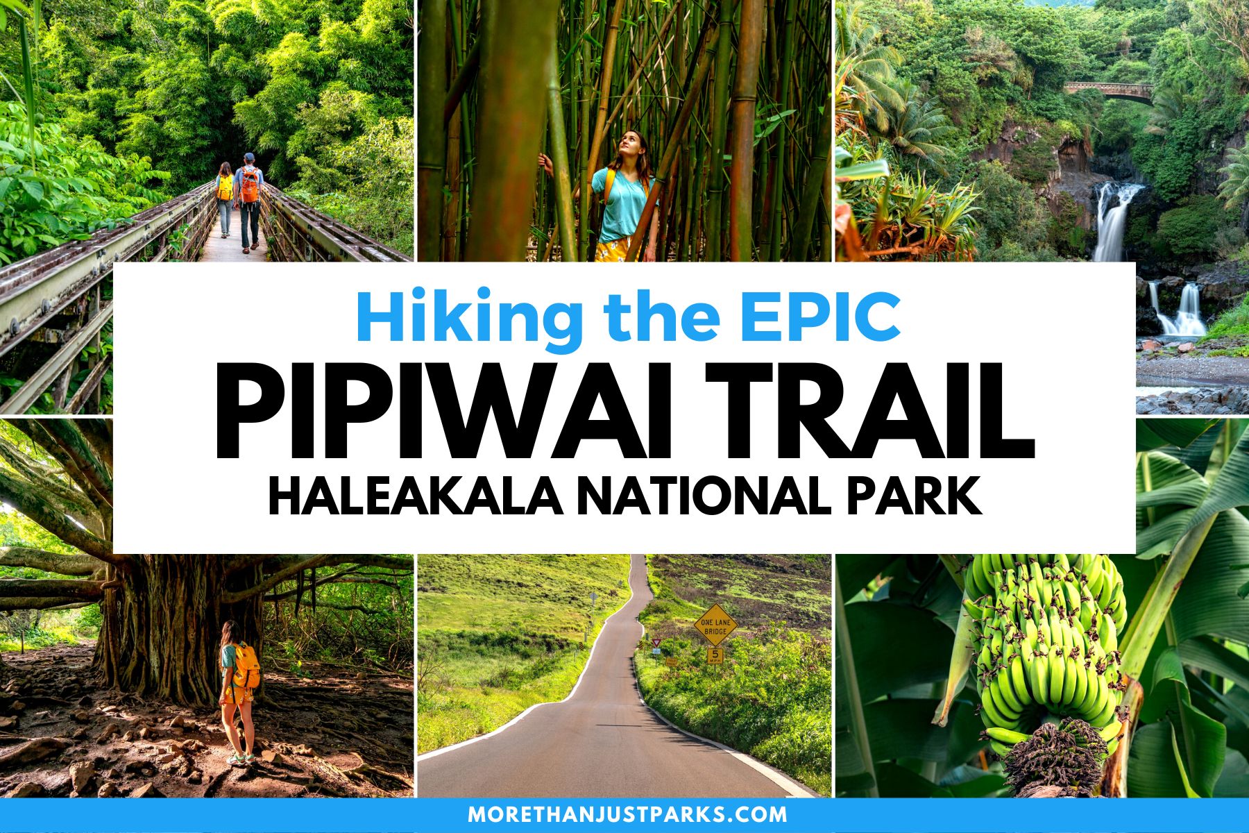pipiwai trail haleakala national park maui, hiking the pipiwai trail, pipiwai banyan tree, pipiwai bamboo forest