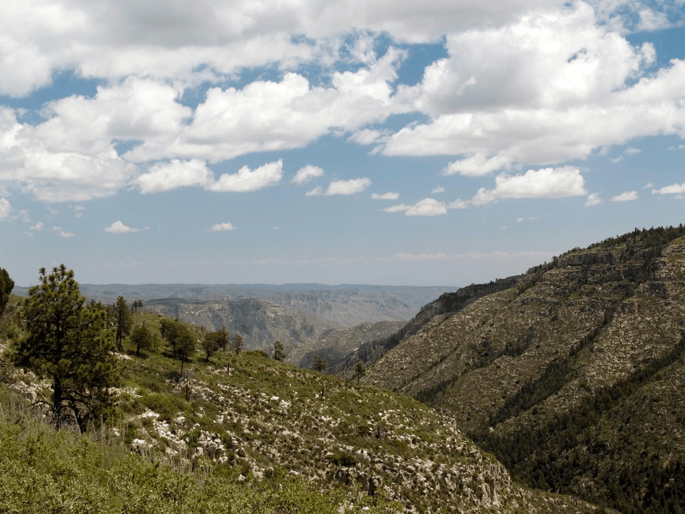 The high mesas and ridges of the Guadalupe Mountains stretch northeastward beyond the depths of upper McKittrick Canyon