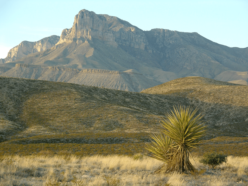 Desert scrub and cacti frame the iconic El Capitan