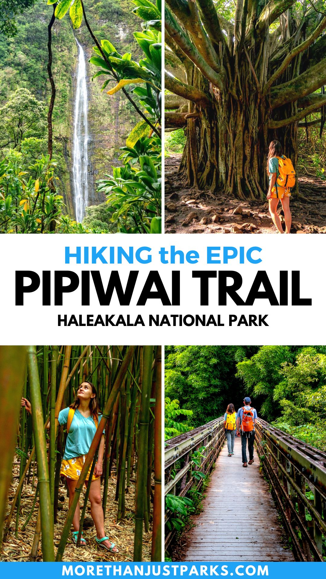 pipiwai trail, pipiwai trail maui, pipiwai banyan tree, pipiwai trail waimoku falls,