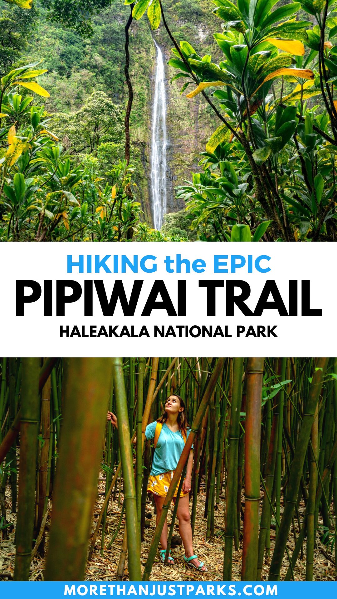 pipiwai trail, pipiwai trail maui, pipiwai banyan tree, pipiwai trail waimoku falls, haleakala national park
