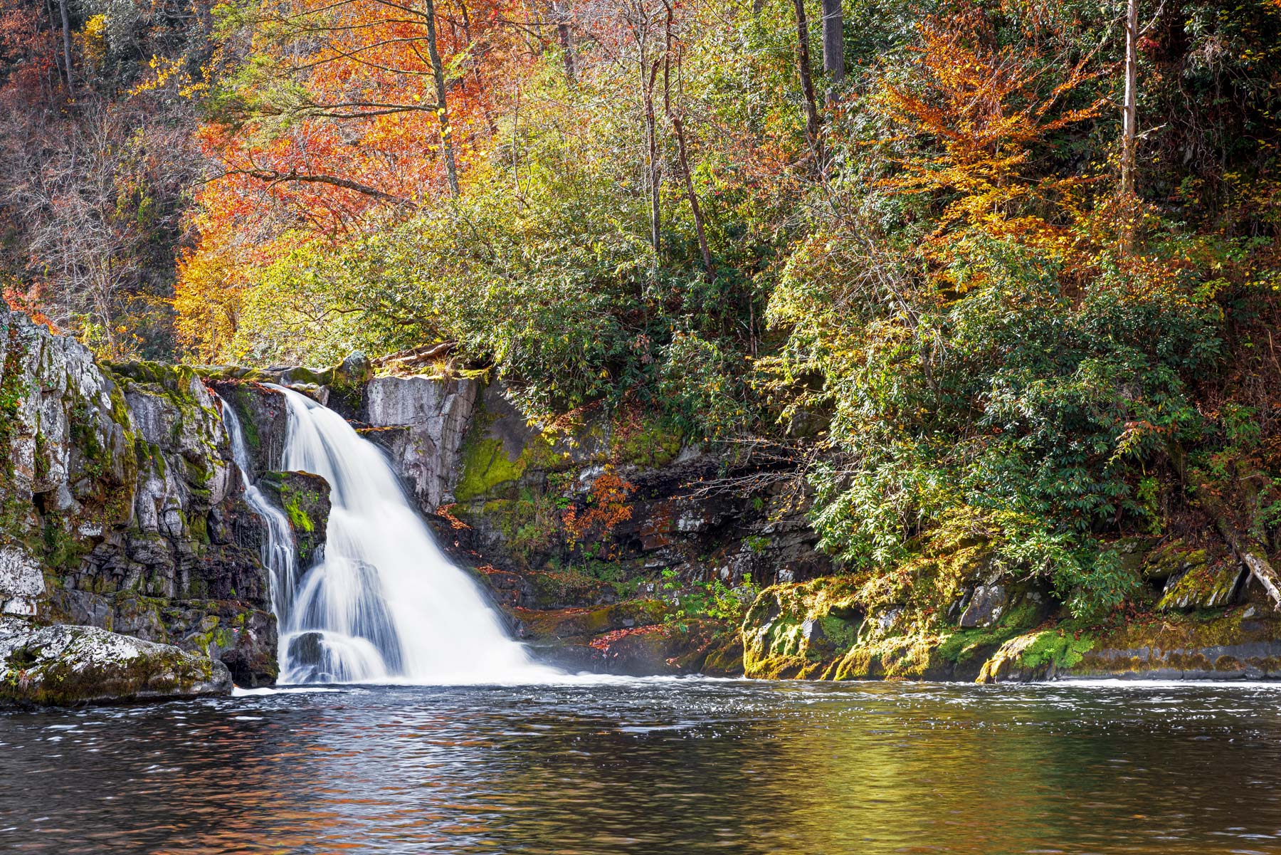 CADES COVE Great Smoky Mountains National Park (Guide + Map)