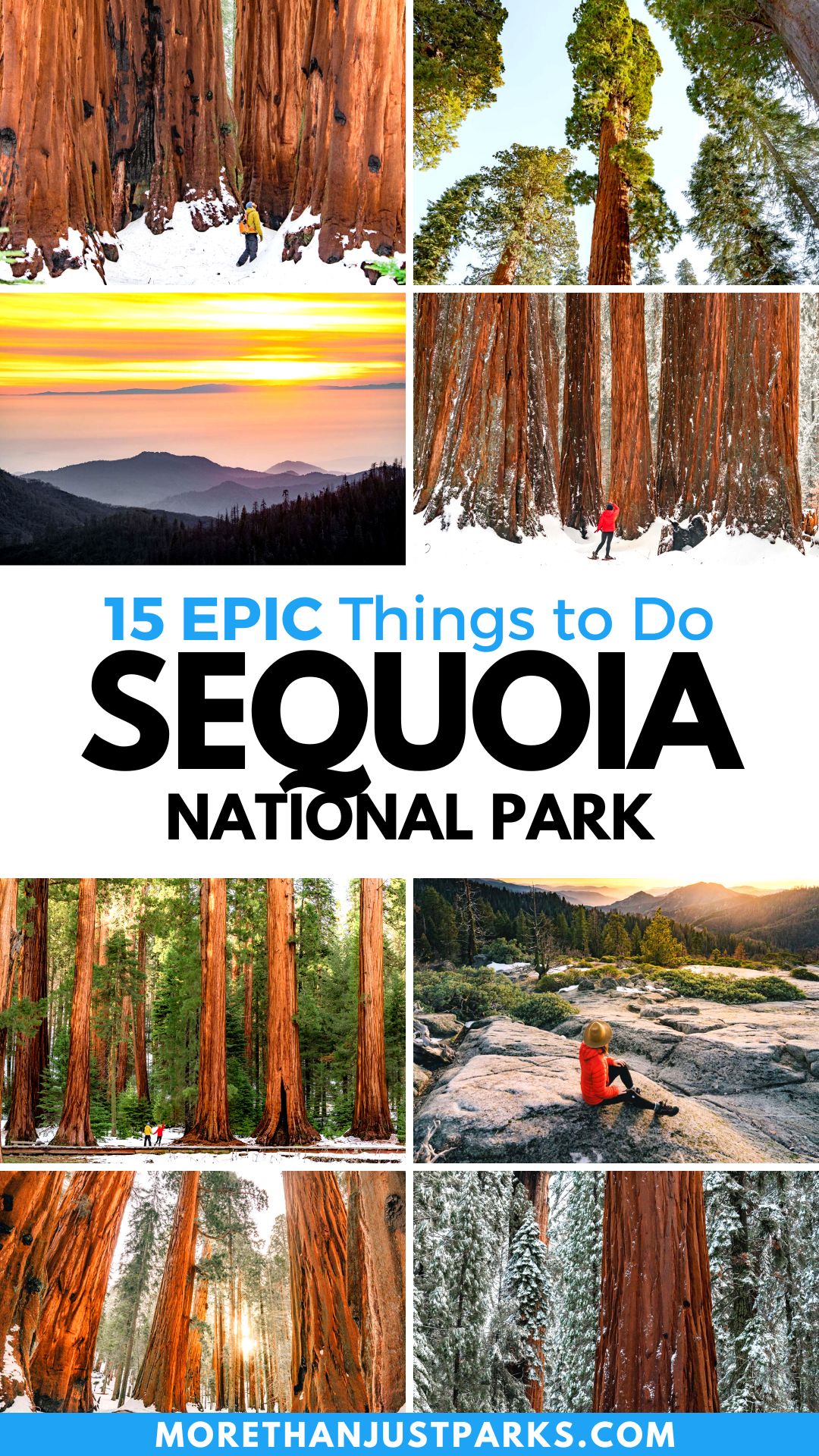 things to do sequoia national park, sequoia national park activities, sequoia california