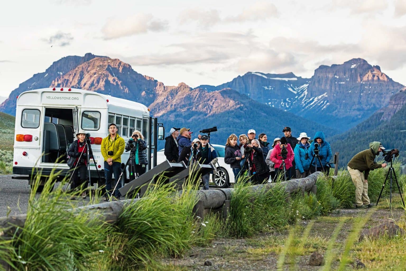 LAMAR VALLEY A Trip to Yellowstone's Best Wildlife Viewing Spot