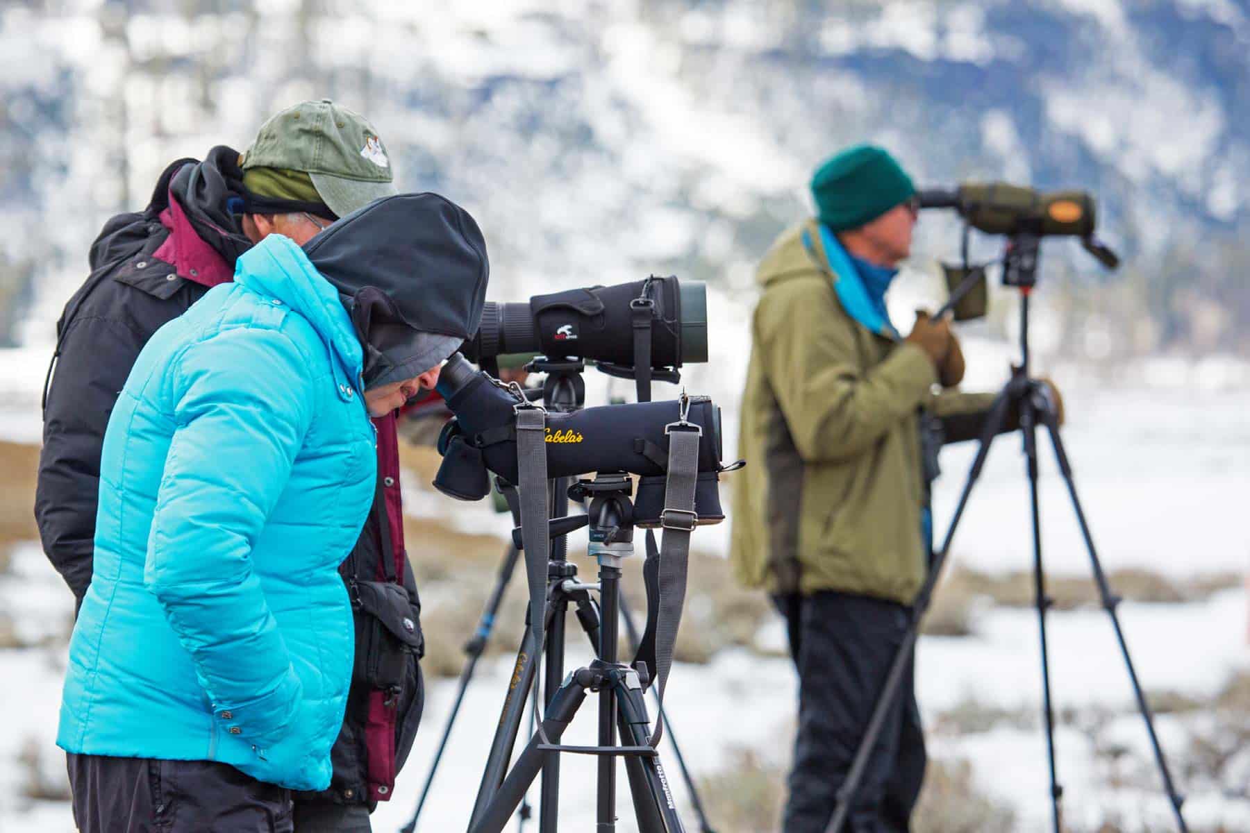 wolf watchers in lamar valley, lamar valley yellowstone national park wyoming