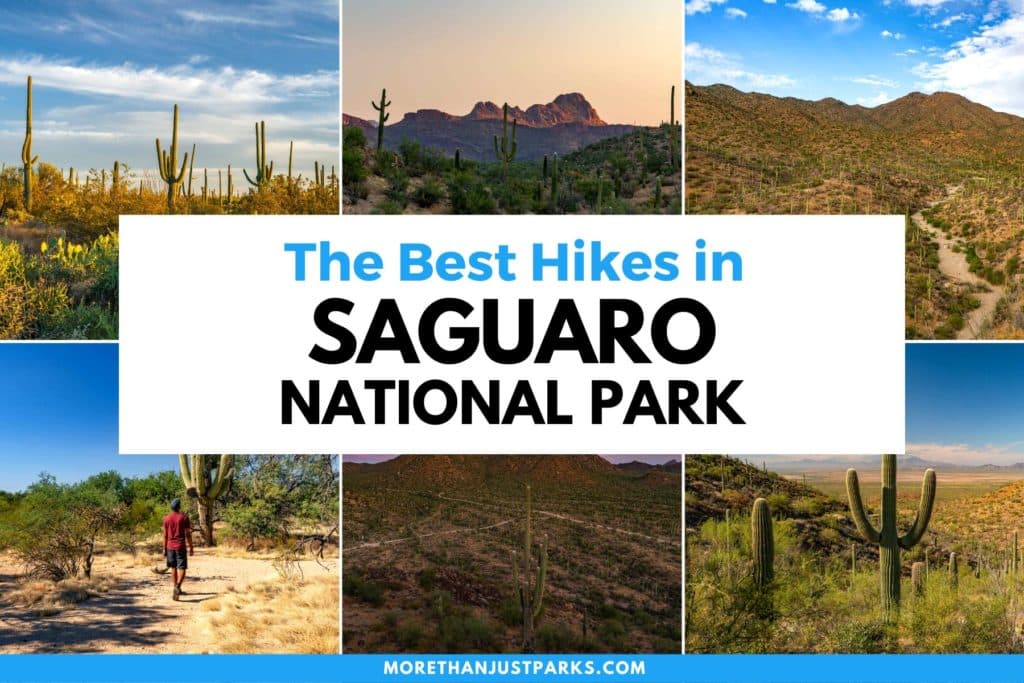 Best Hikes Saguaro National Park