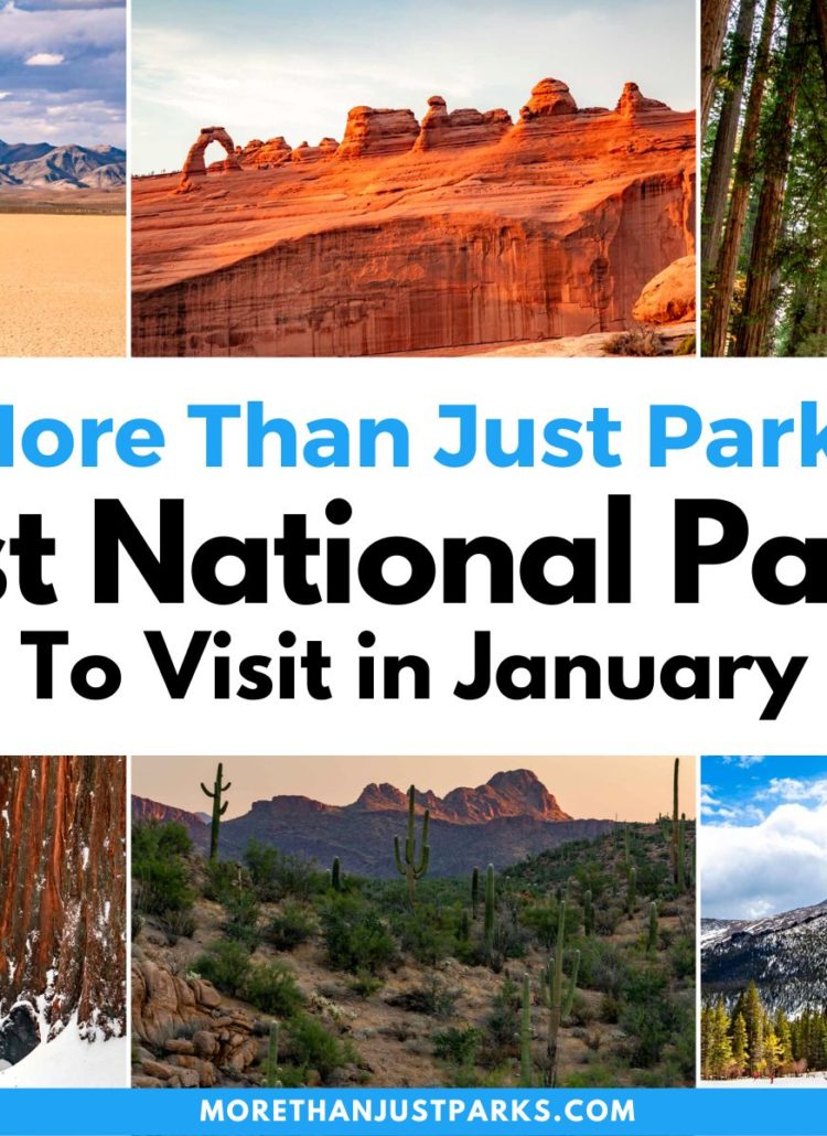 best national parks to visit in January