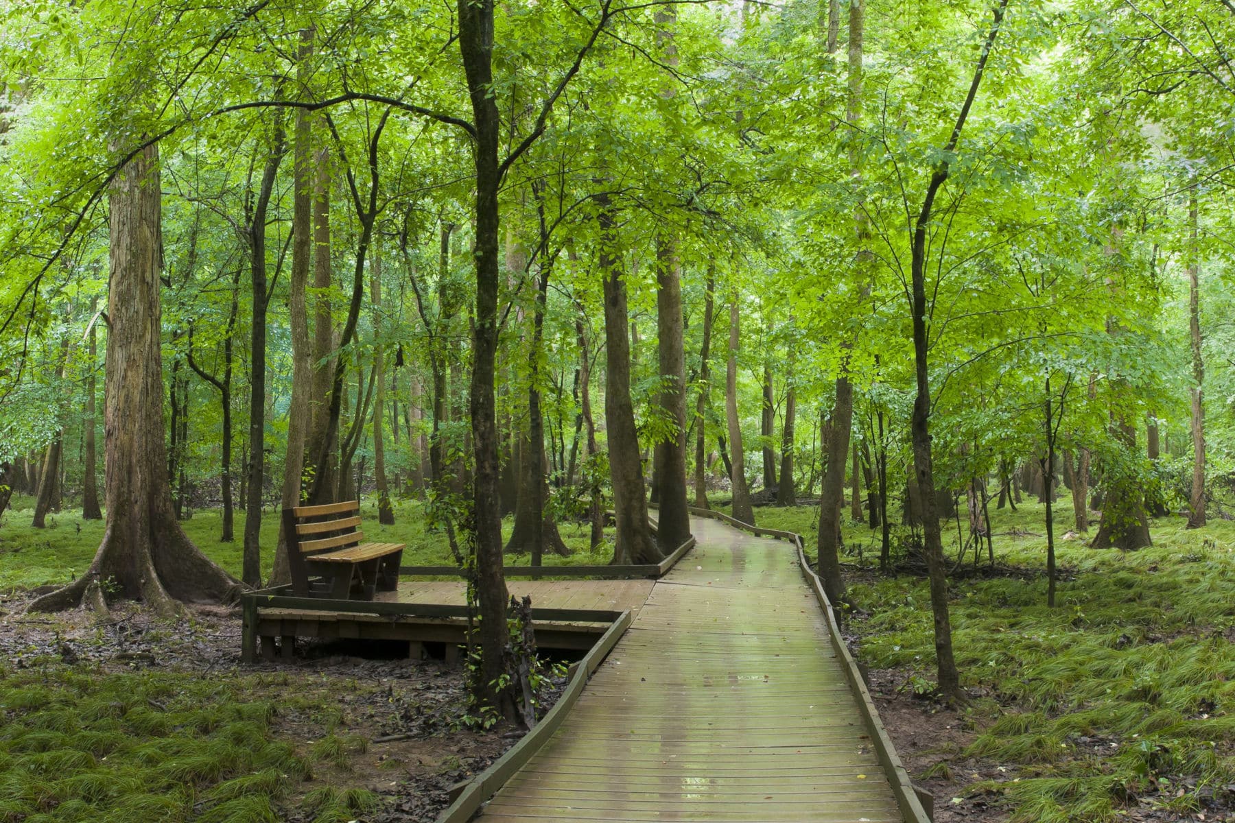 Congaree National Park Facts