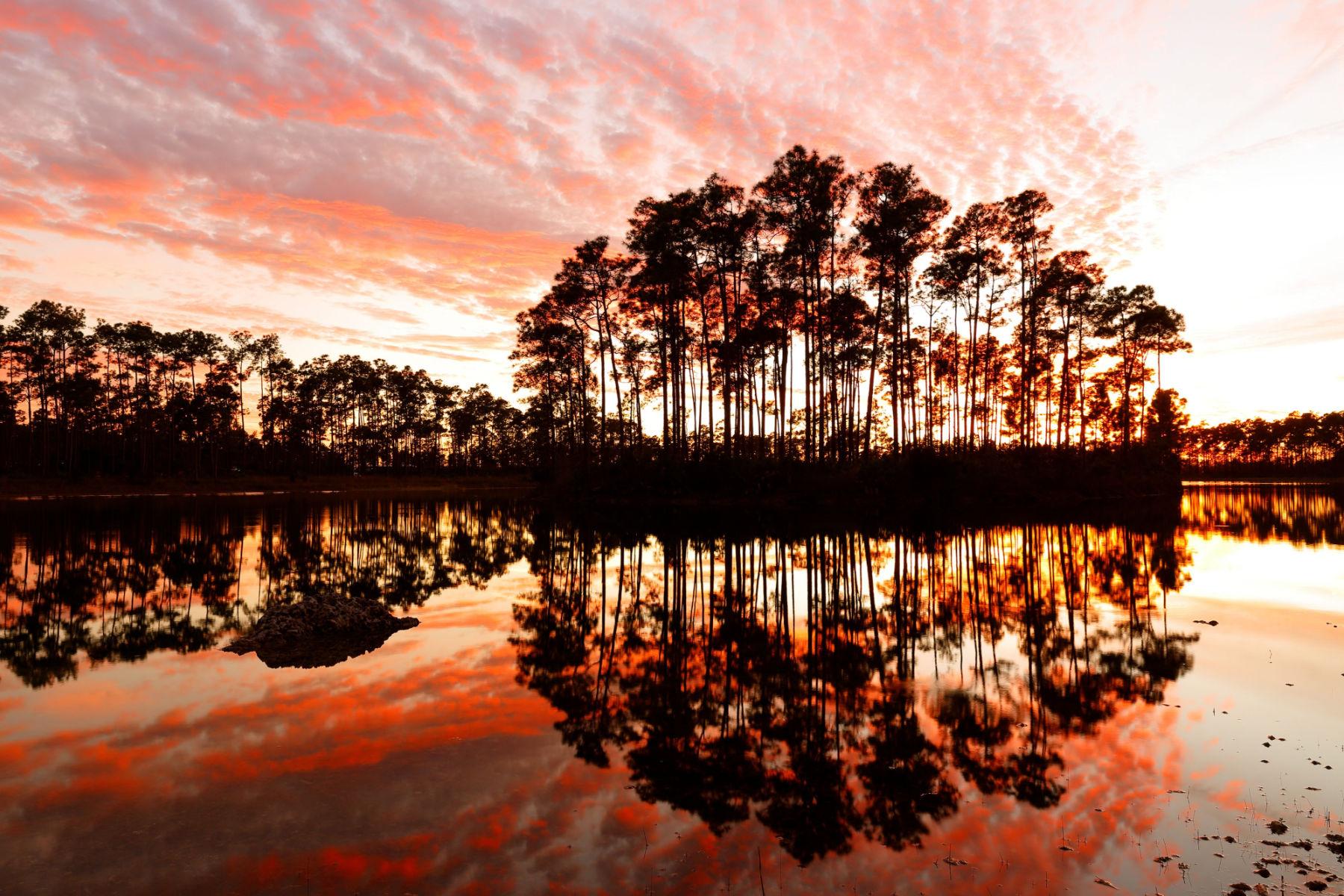 Everglades National Park Facts