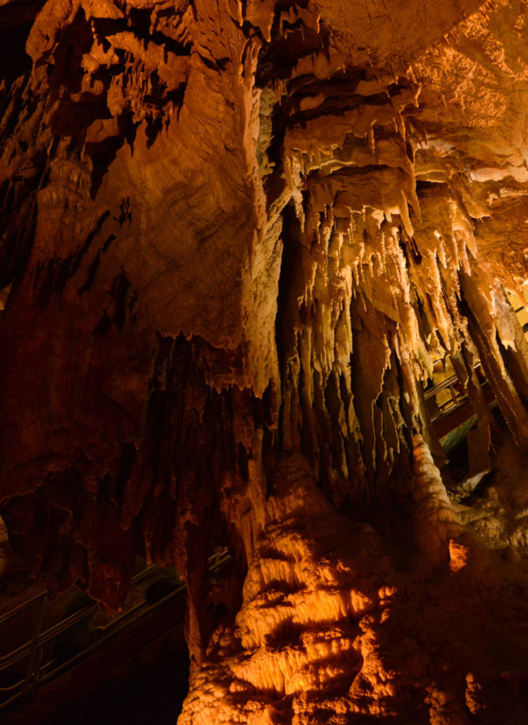 12 SURPRISING Facts About Mammoth Cave National Park