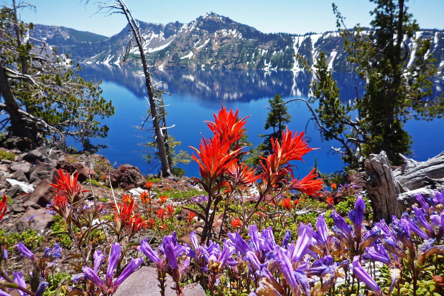 things to do crater lake national park oregon