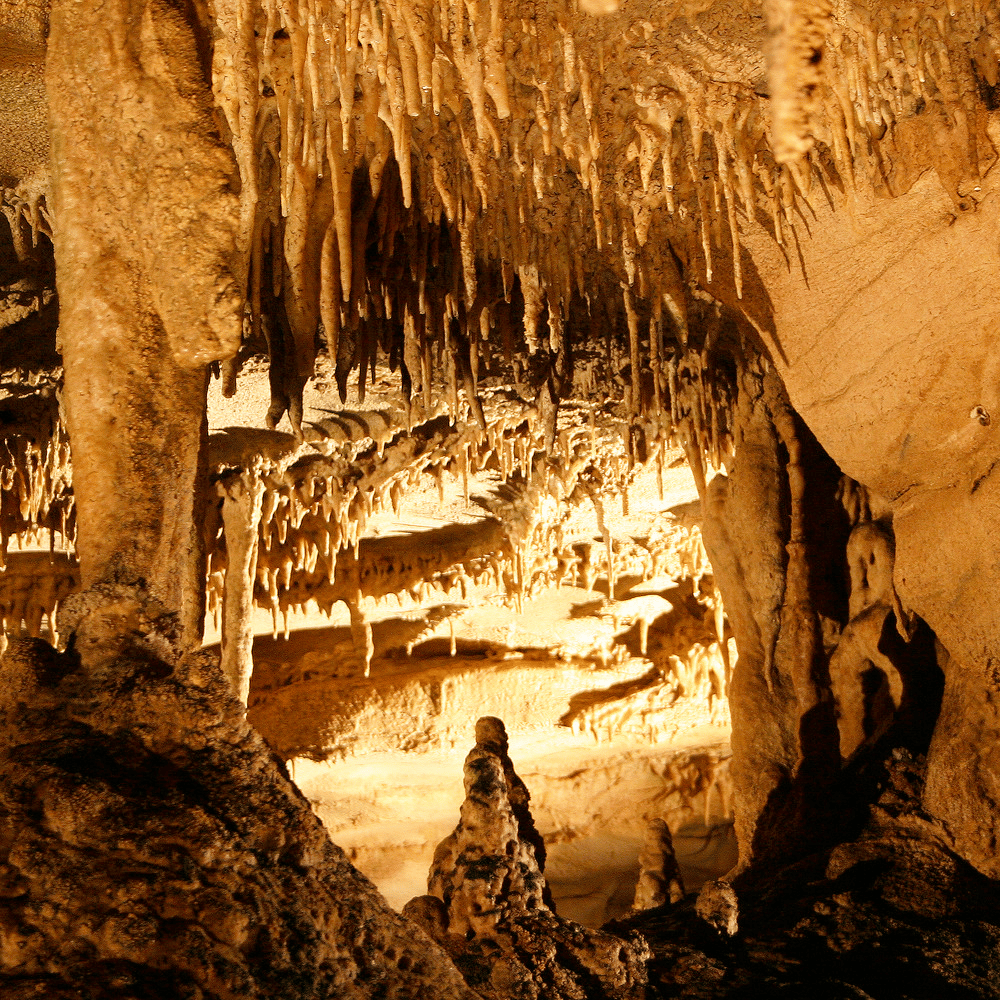 Mammoth Cave National Park Facts
