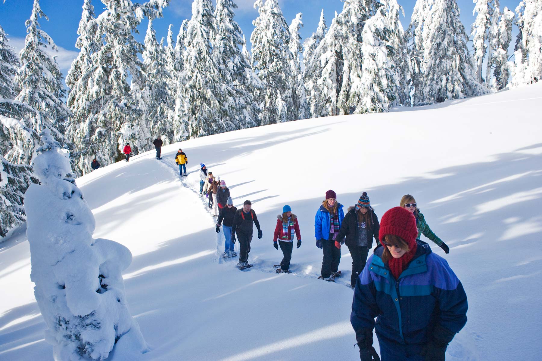 snowshoeing at crater lake, things to do crater lake national park oregon
