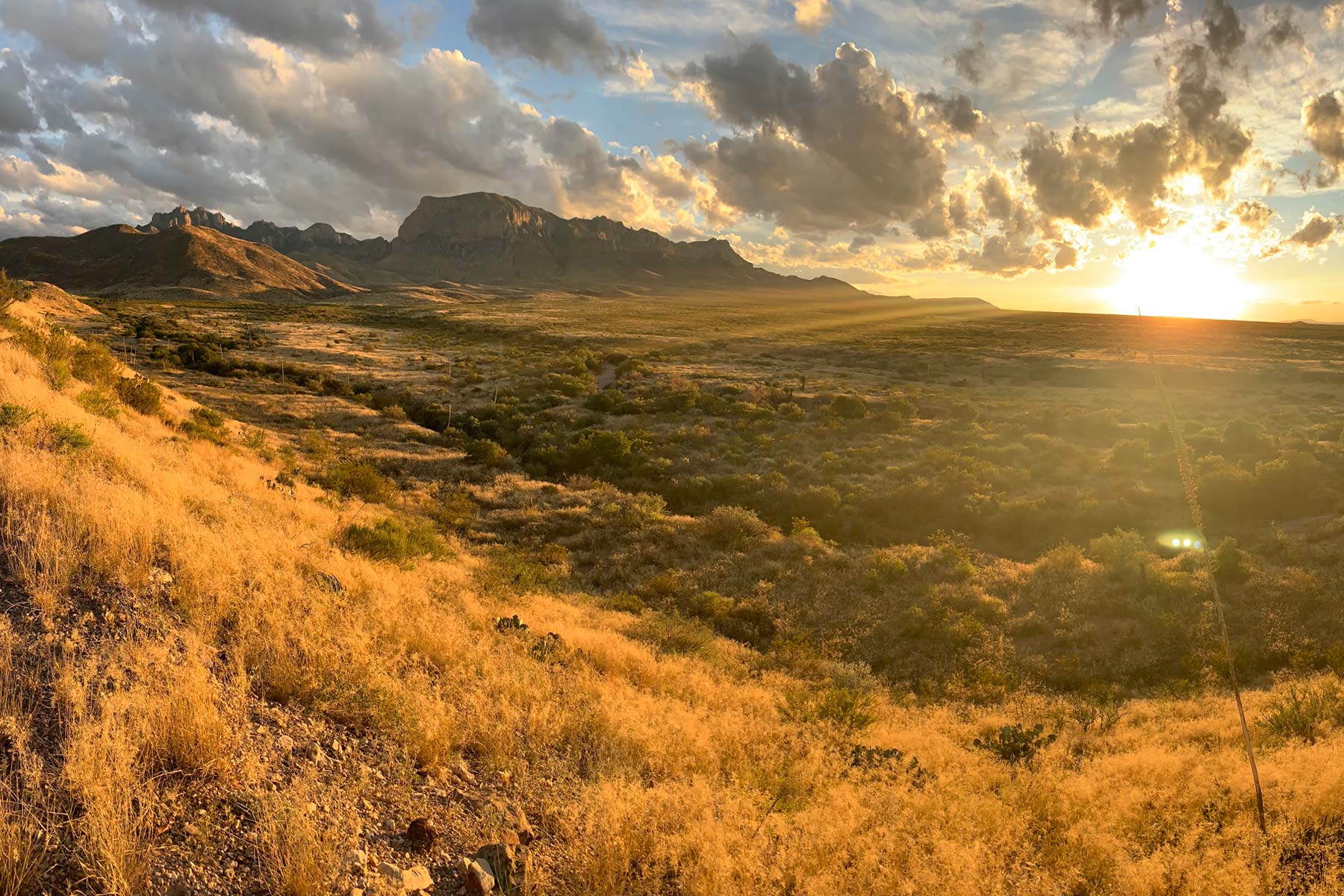 things to do big bend national park texas