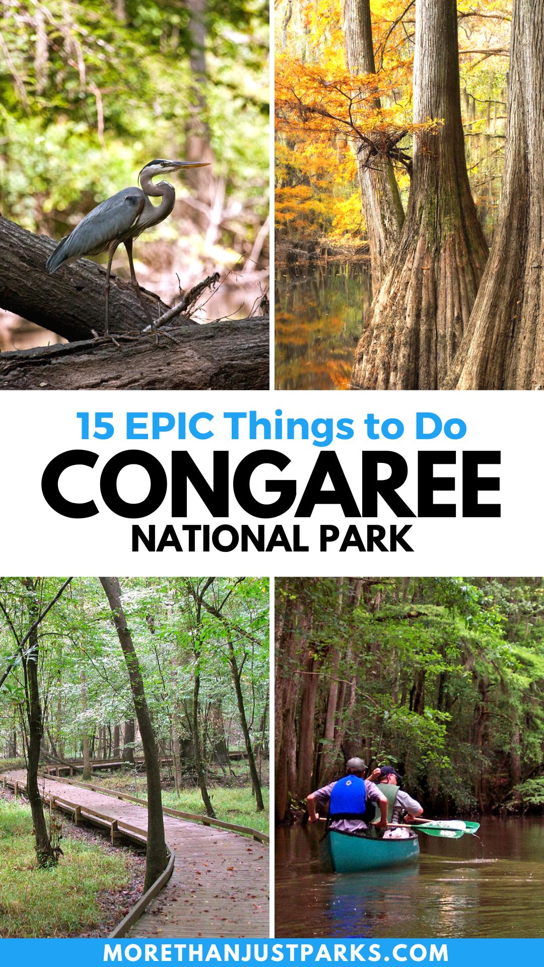 things to do congaree national park