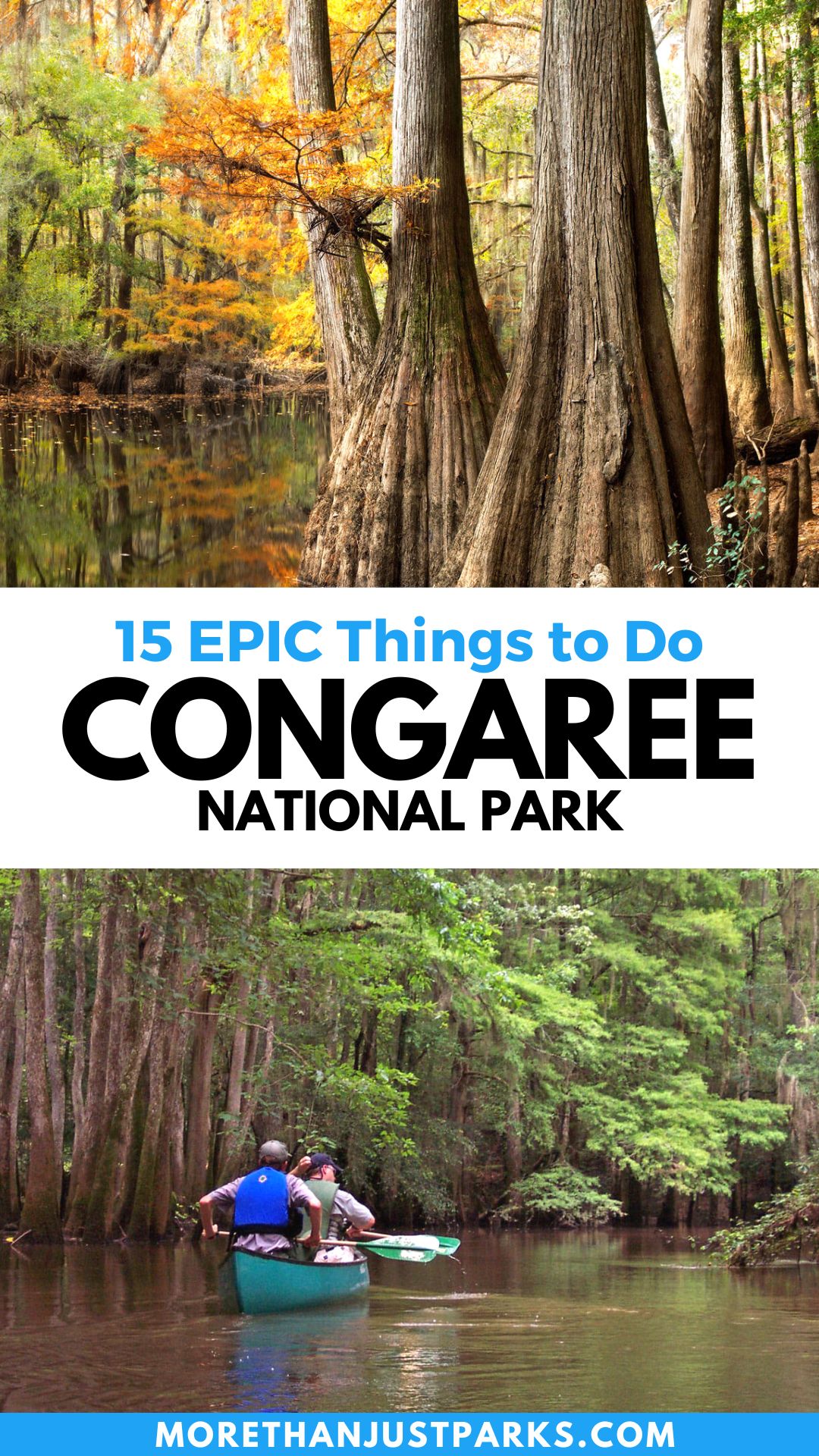 things to do congaree national park
