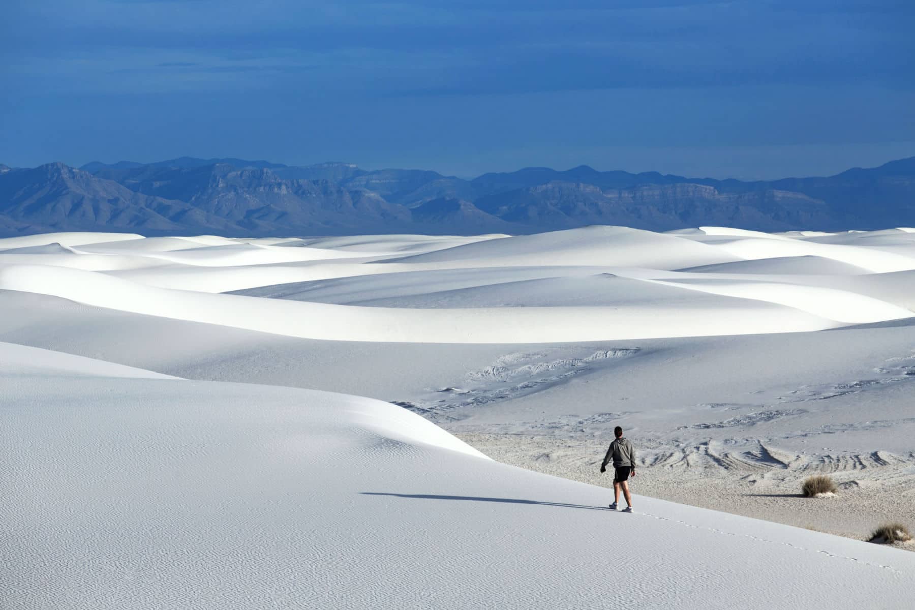 White Sands National Park Facts