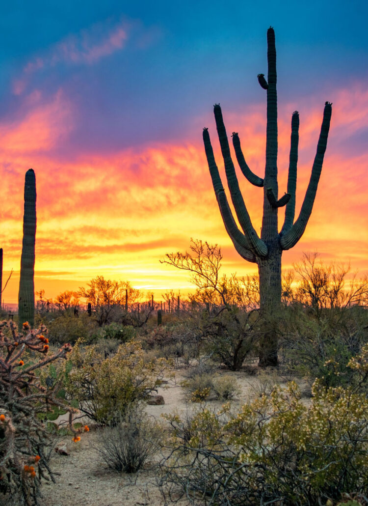 5 EPIC National Parks Near El Paso You’ll Love (Photos + Guide)