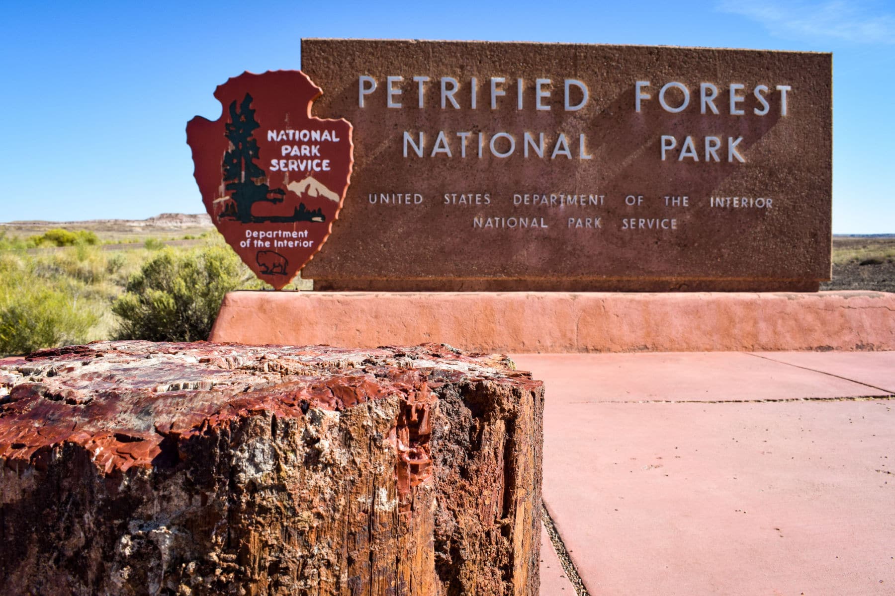 Petrified Forest National Park Facts