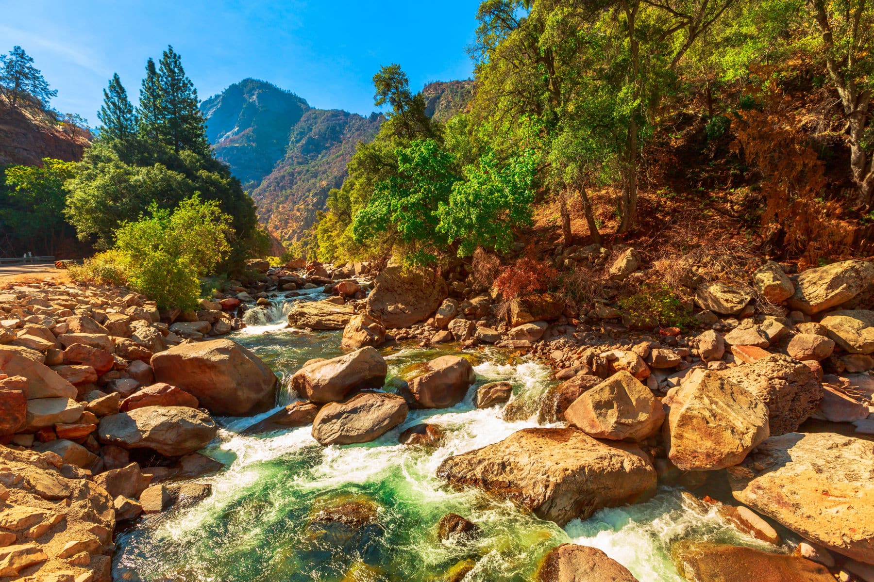 Kings Canyon National Park Facts