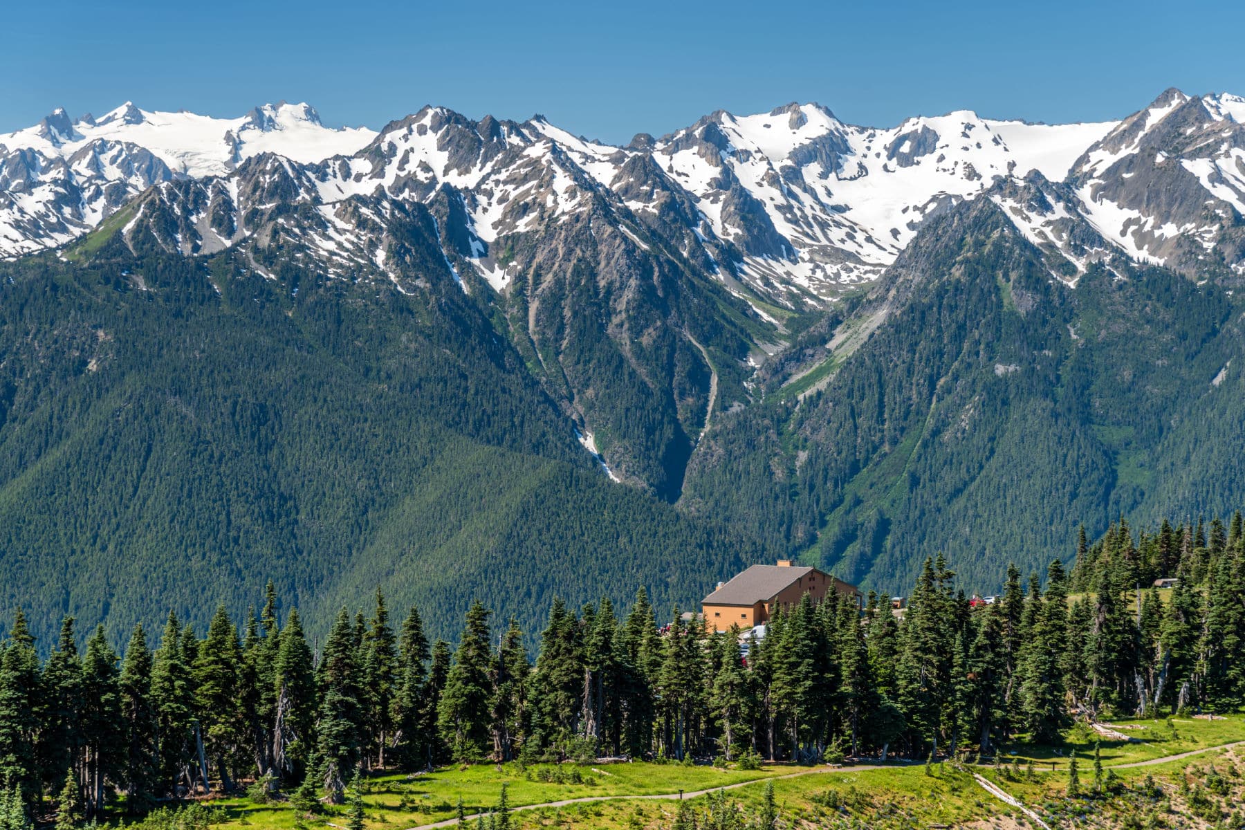 Olympic National Park Facts