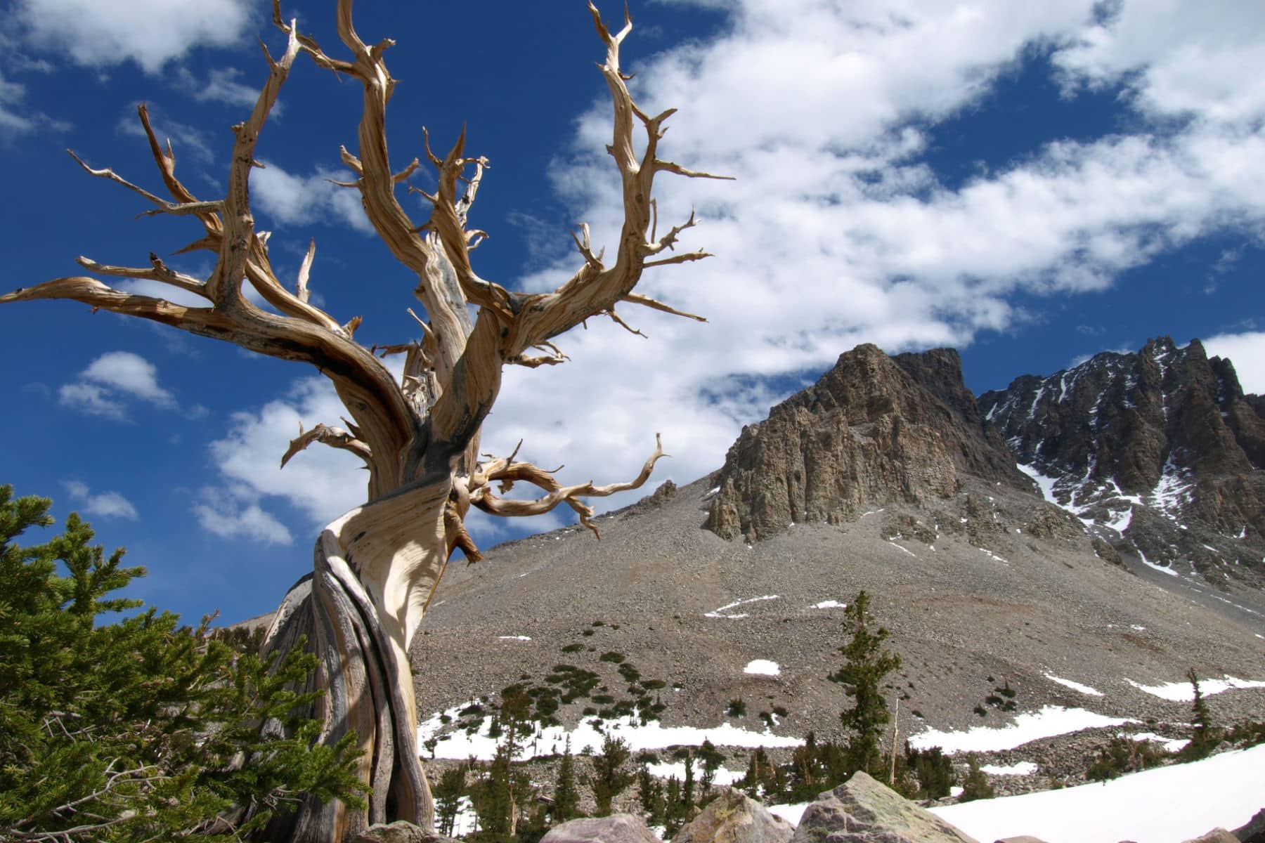 Great Basin National Park Facts