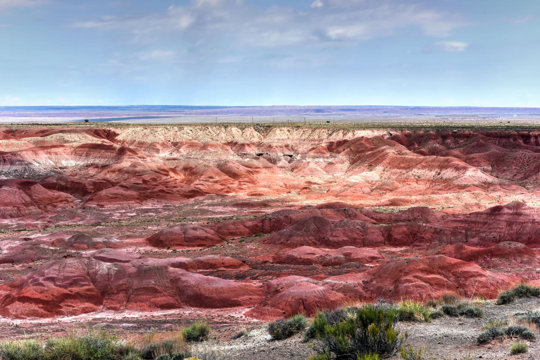 Petrified Forest National Park Facts