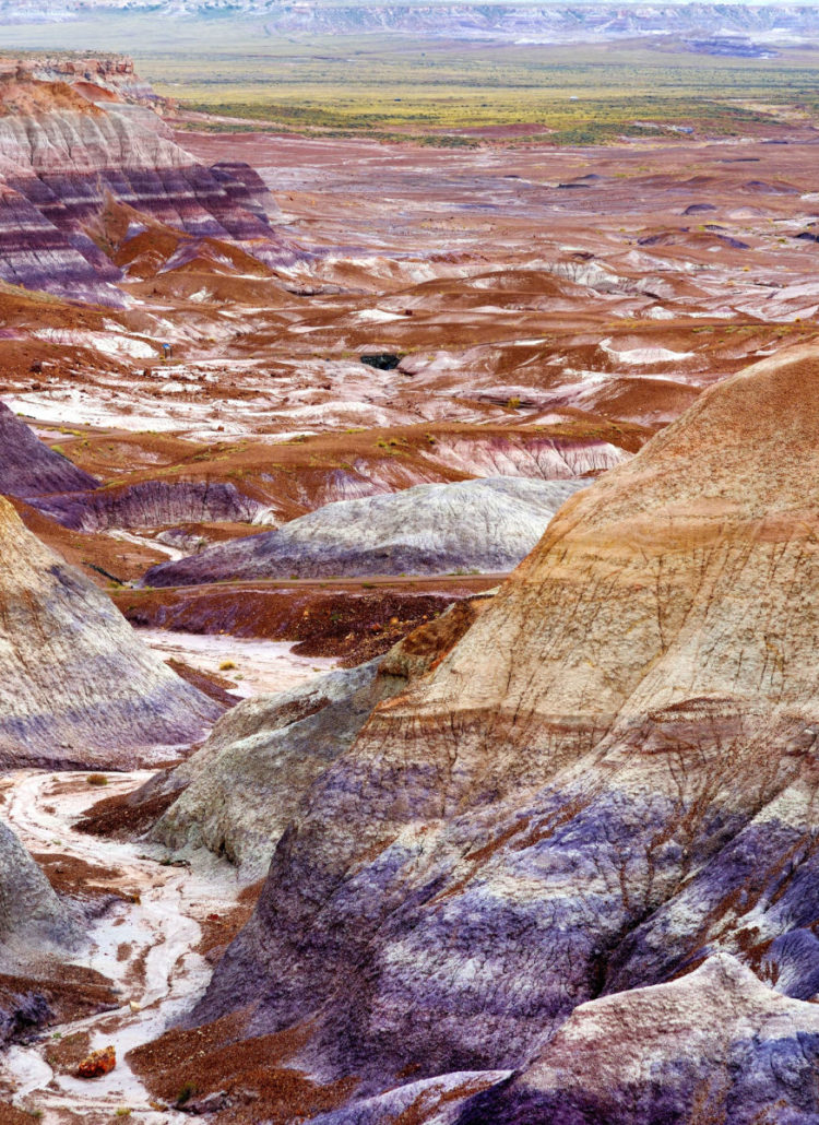 10 AMAZING Facts About Petrified Forest National Park