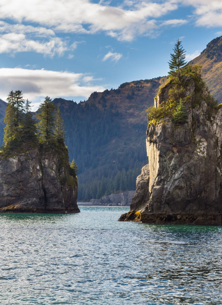 10 SURPRISING Facts About Kenai Fjords National Park