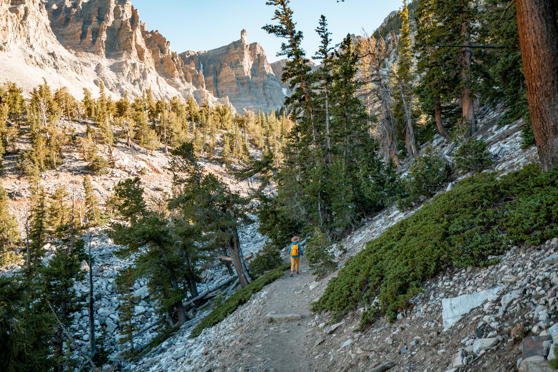things to do in great basin national park nevada, least visited national parks