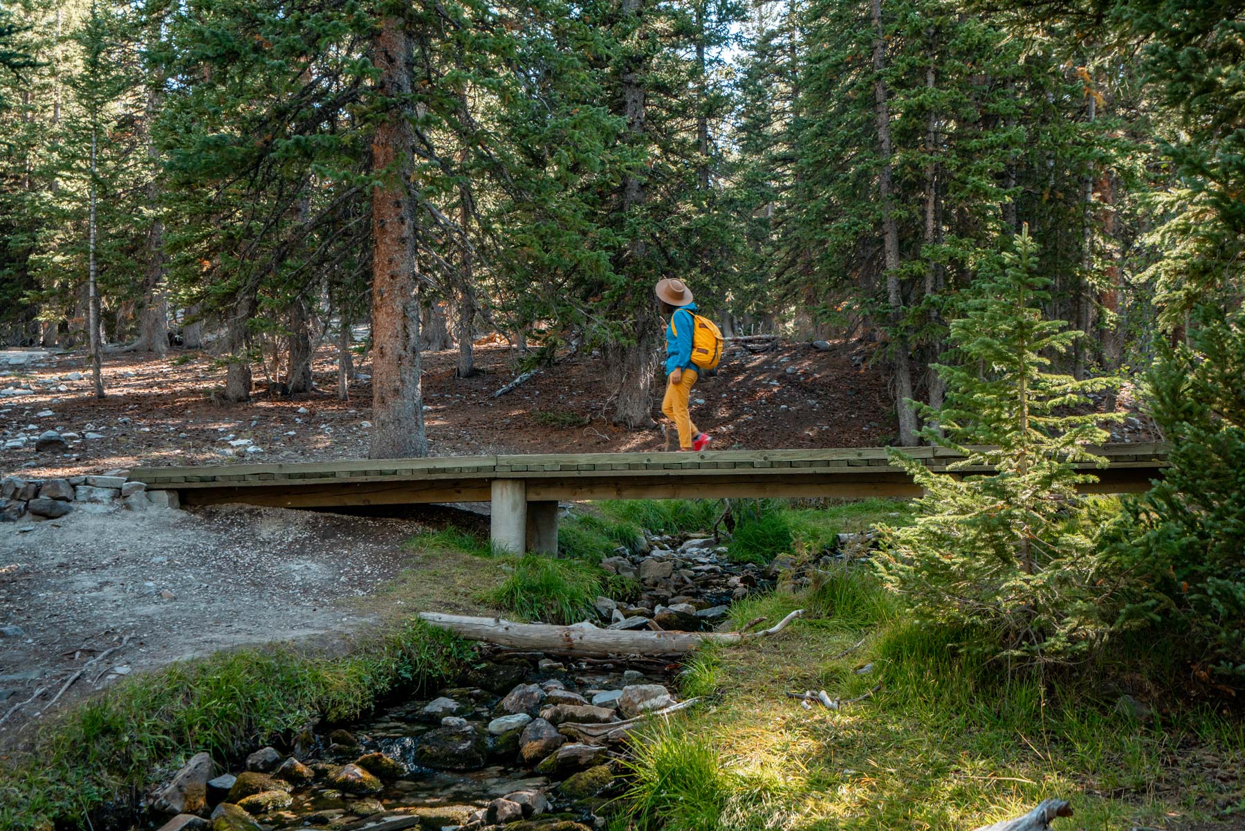 things to do in great basin national park nevada