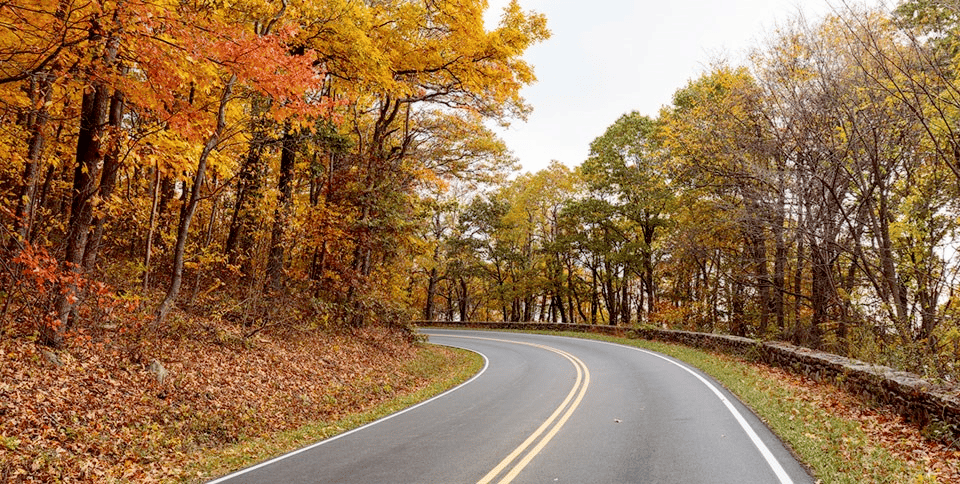 Skyline Drive in Shenandoah National Park | Shenandoah National Park Facts