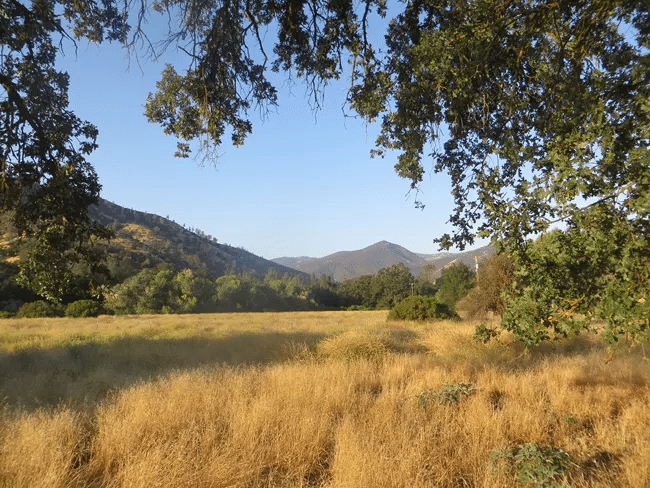 Golden grasslands are framed by mountains | Pinnacles National Park Facts