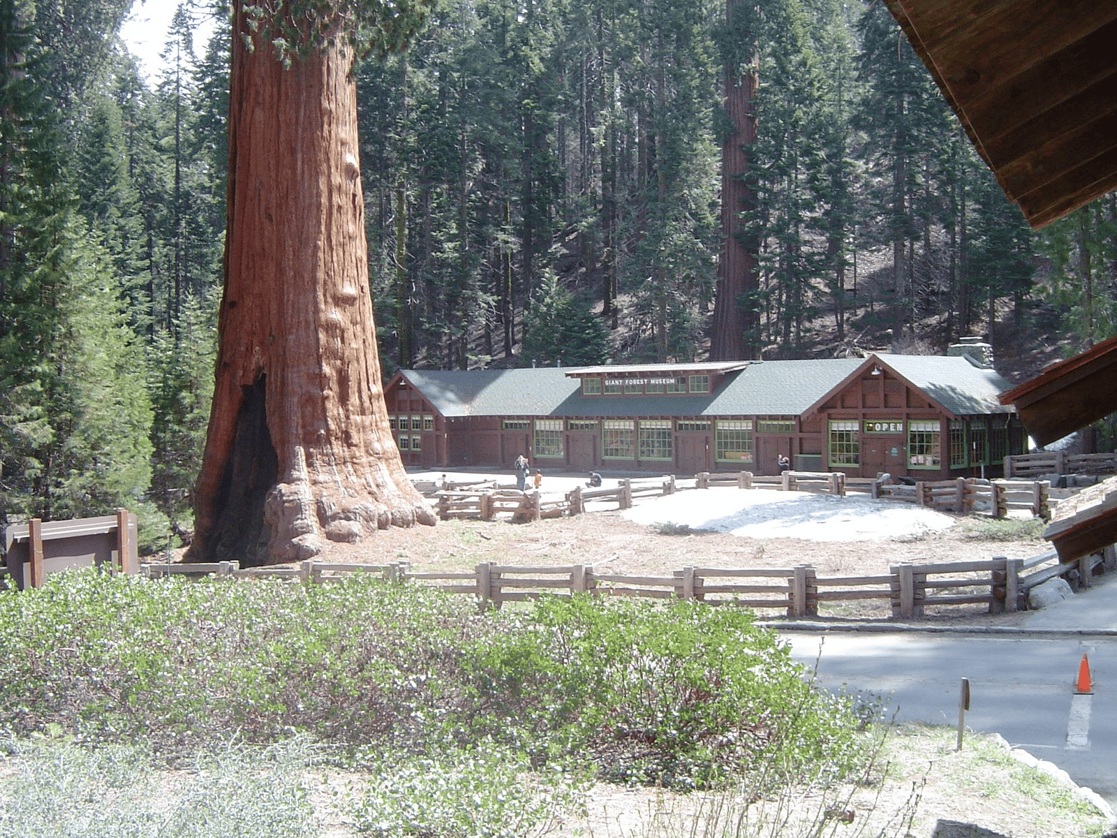 Sequoia National Park Facts