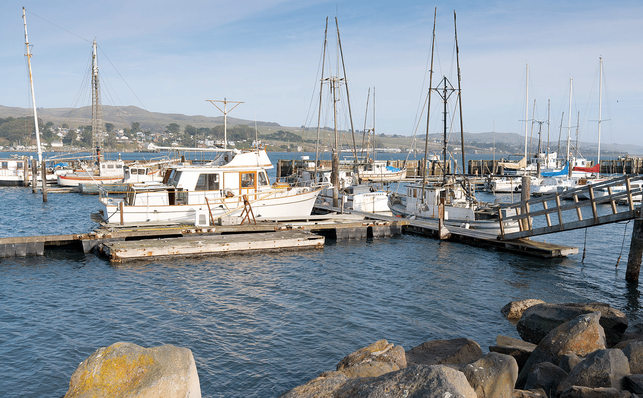 Fishing boats at Bodega Harbor, Sonoma, California | Historic Sites In California