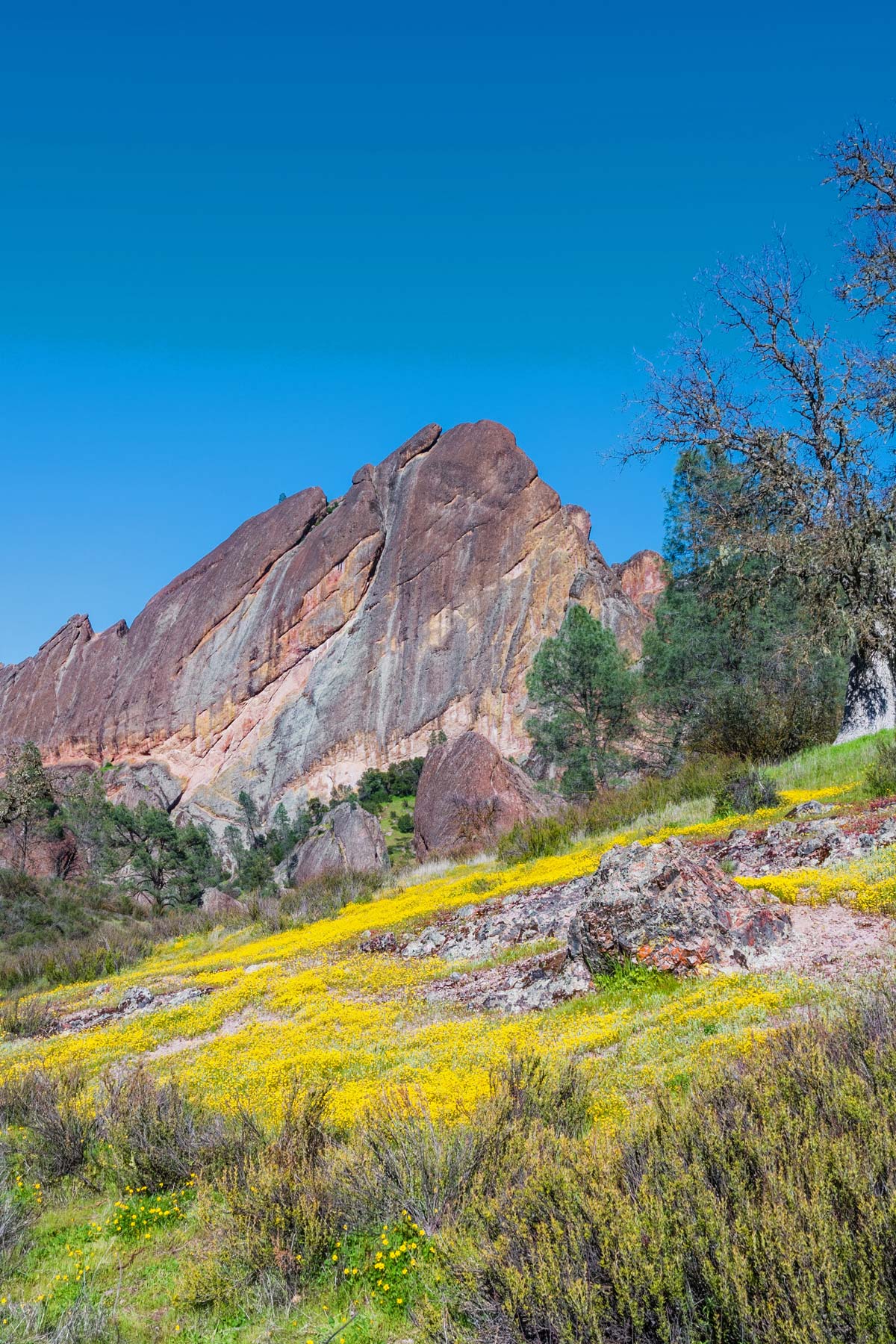 best things to do pinnacles national park
