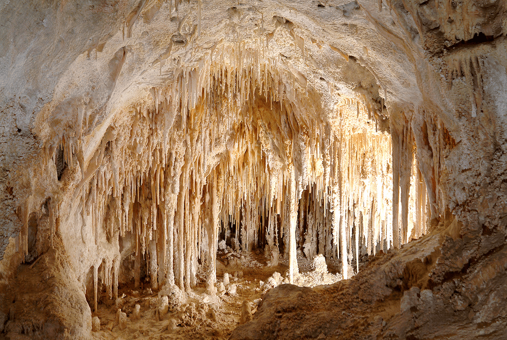 Carlsbad Caverns National Park Facts