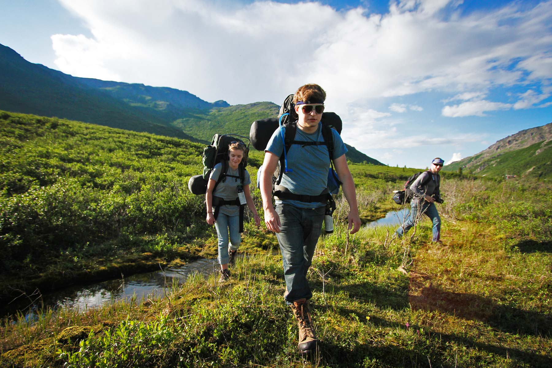 things to do denali national park alaska, backpacking in denali