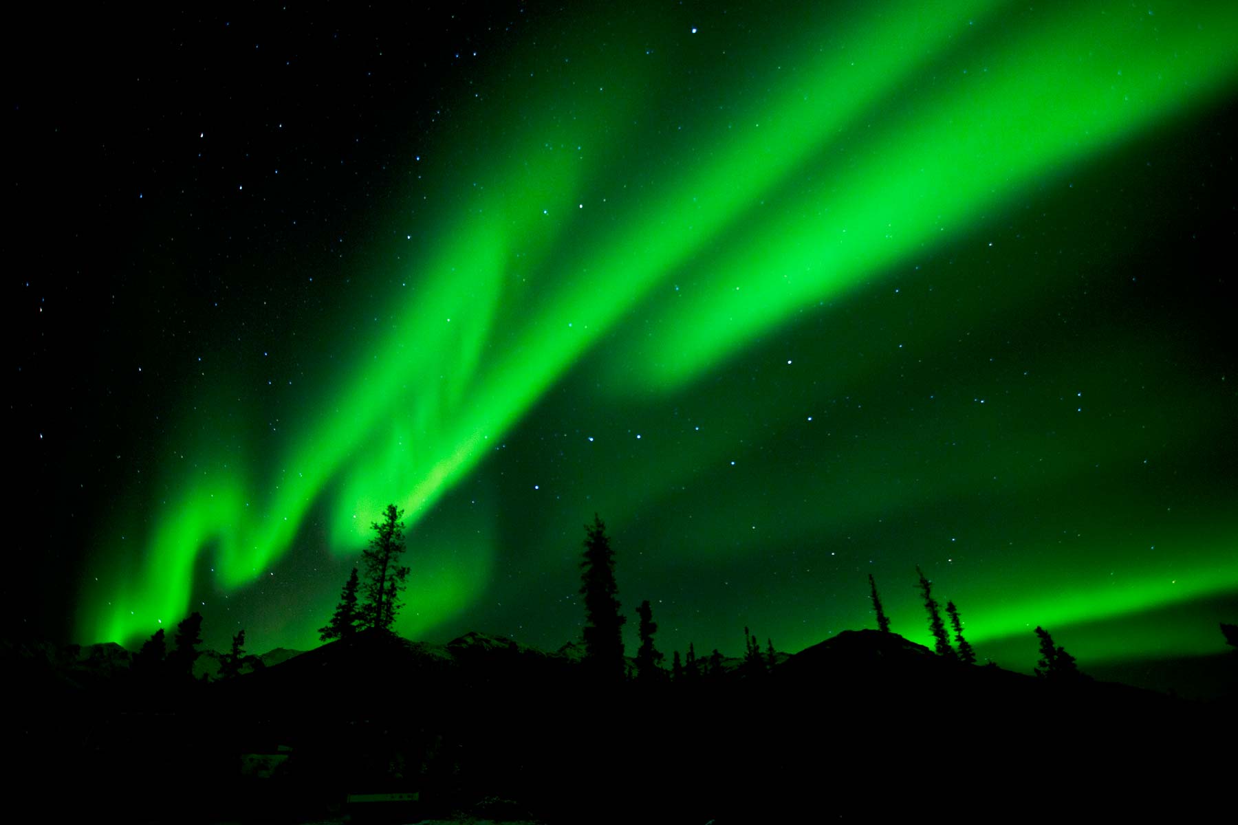 things to do denali national park alaska, northern lights
