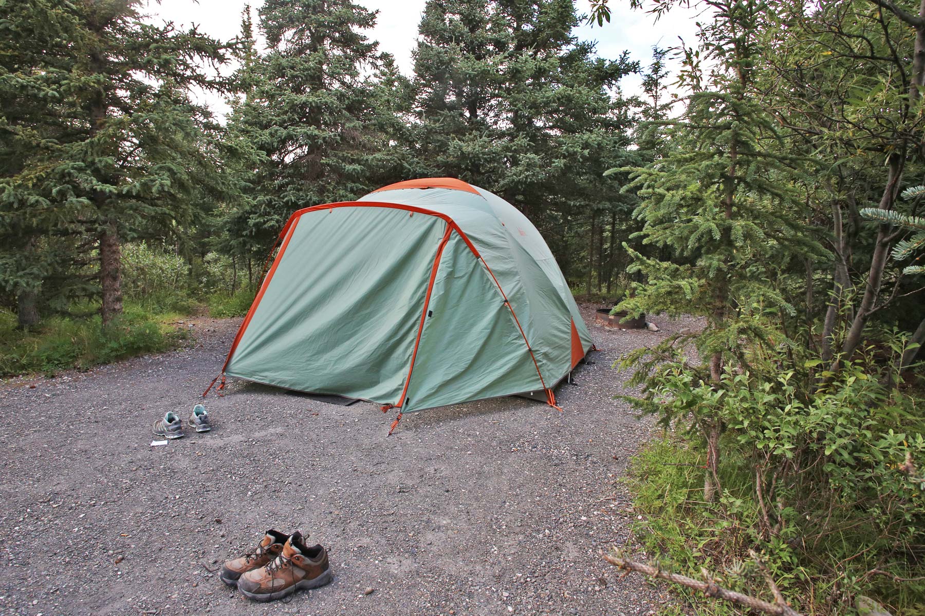 things to do denali national park alaska, denali camping
