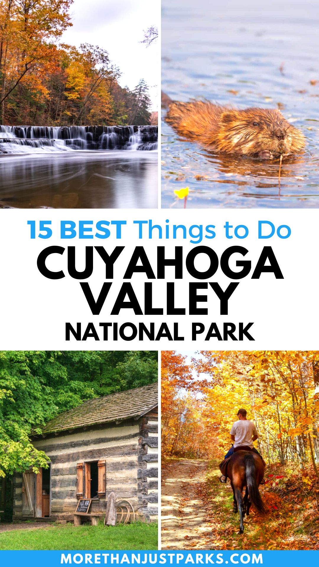 Forest, river, and rock ledges in Cuyahoga Valley National Park near Cleveland